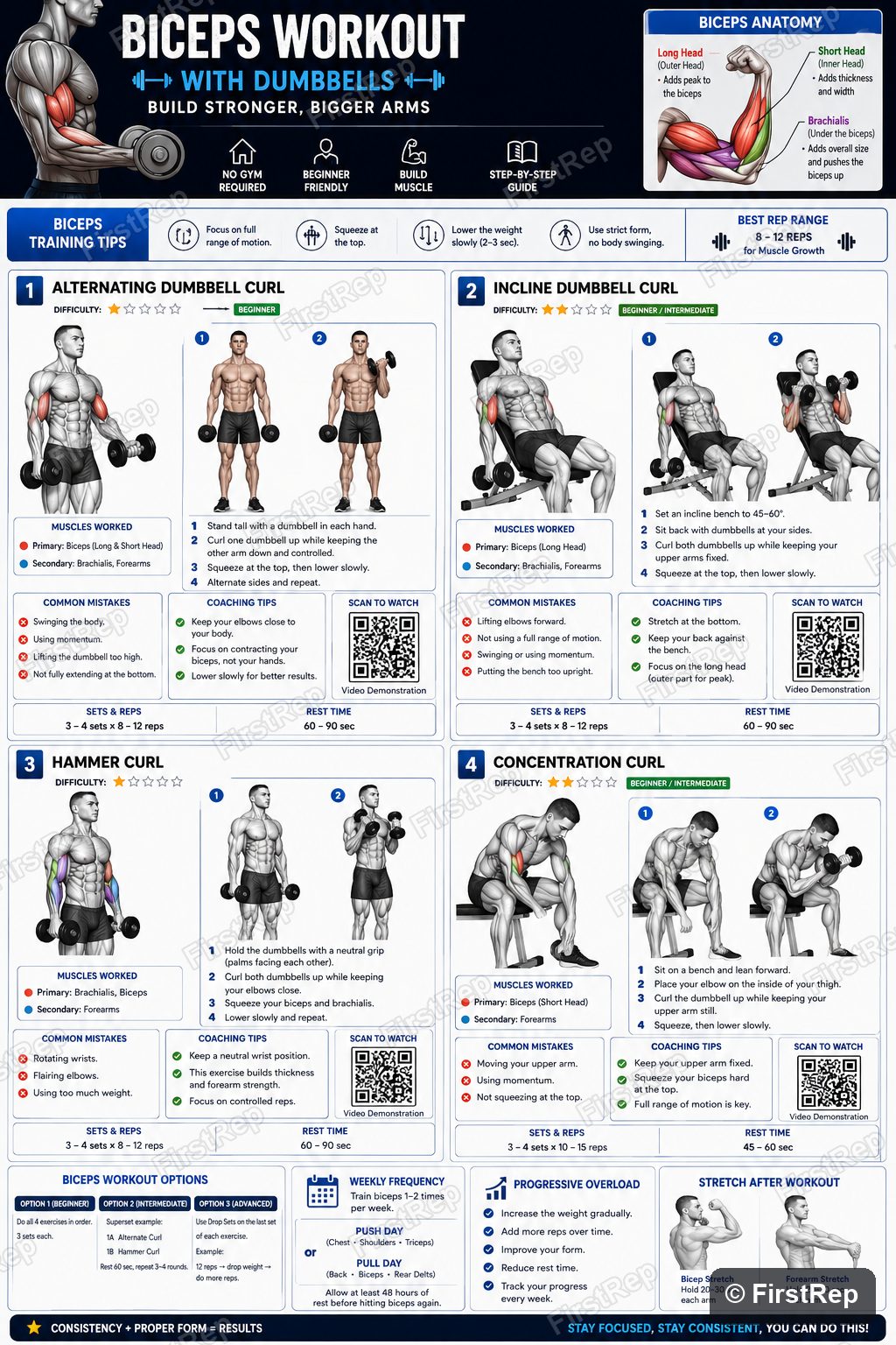Beginner dumbbell biceps workout poster.